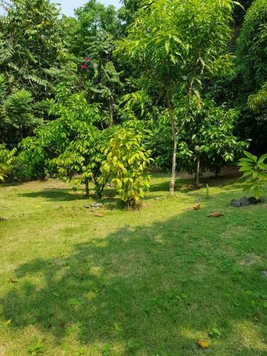 Hostal Mini-quinta Guesthouse