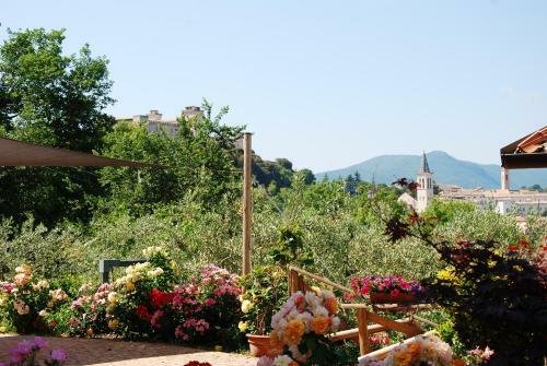 Apartamento Suite Matilde 1656