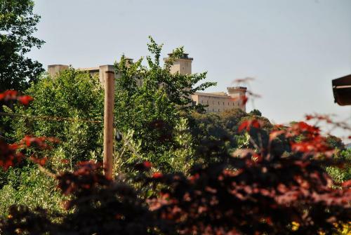Apartamento Suite Matilde 1656