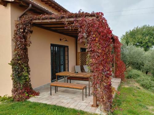 Agroturismo Le Rapacciole