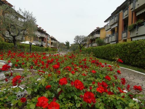 Apartamento Discovery Flat With Pool & Bikes
