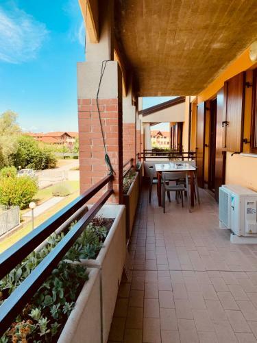 Cedro Apartment - Gardacase Net
