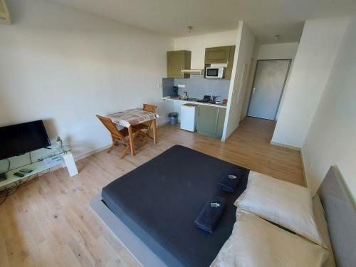 Apartamento Studio Climatis� Proche A�roport, Navette