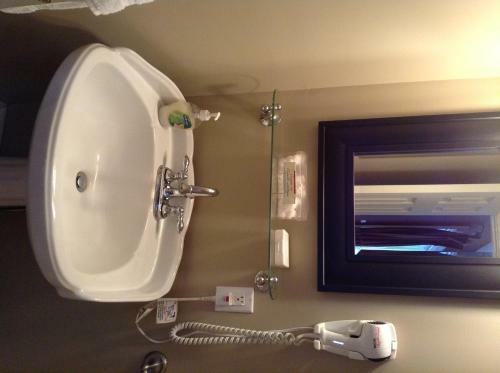 Bed & Breakfast G�te Du Cam�l�on