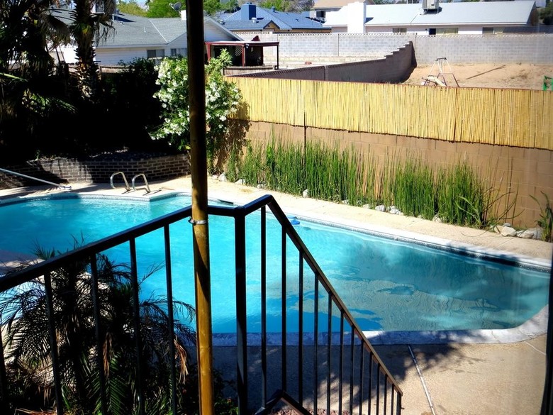 Vegas Oasis