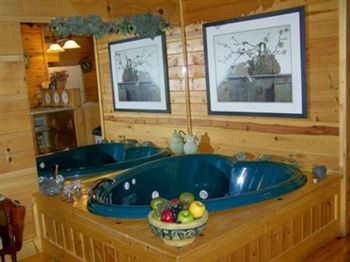 Mountain Shadows Resort