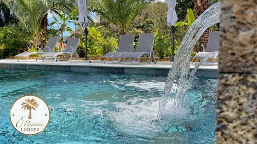 Villa � Ruisseau Lodge Lodge Cocotier