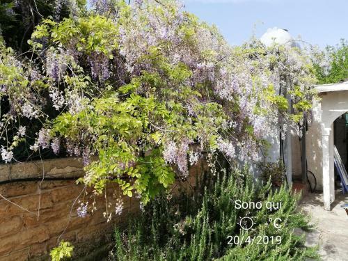 Holiday Home Riserva Marina Protetta