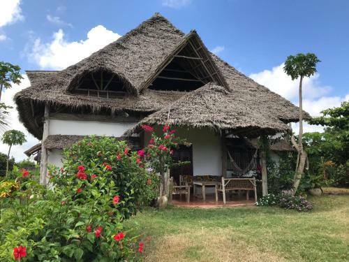 Ras Nungwi Breezes