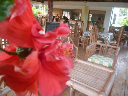 Hotel La Paillotte
