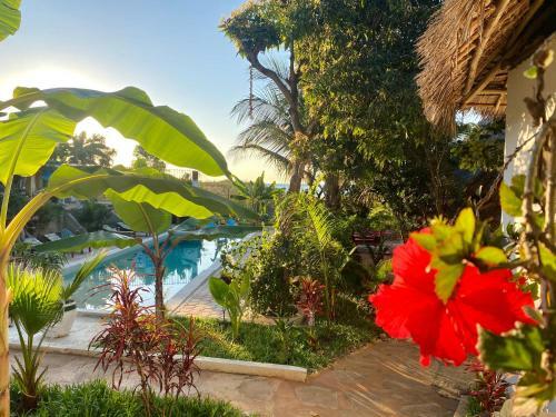 Kingstone Lodge Zanzibar
