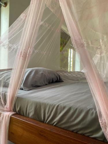 Hostal Borderlands Guest House