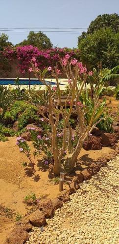 Bed & Breakfast Africa Case