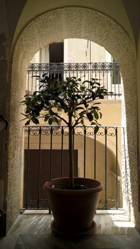 B&B Casa D'alleri