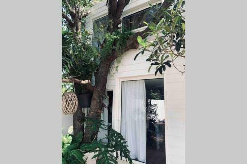 La Caze Amoremieve Pour Un S�jour Cozy � St Pierre