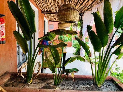 Bed & Breakfast Maison De Clara