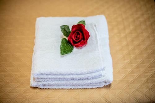 Bed & Breakfast Bnb Cheope