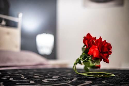 Bed & Breakfast Bnb Cheope