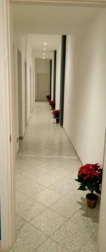 Hostal Freedom