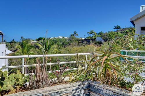 Apartamentos T4 ? La Kawane - 112 M2 - Saint-gilles