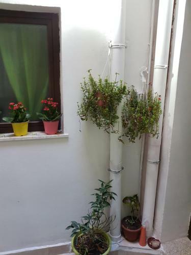 Apartamento Casetta Lele Locazione Breve