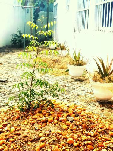 Bed & Breakfast Sagbado Hotel