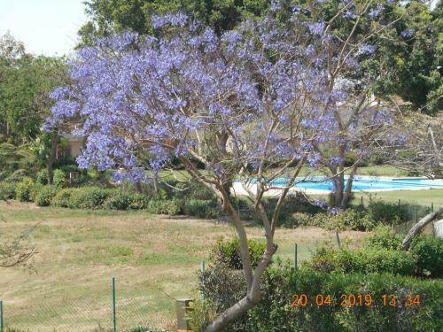 Apartamento Stella Di Mare