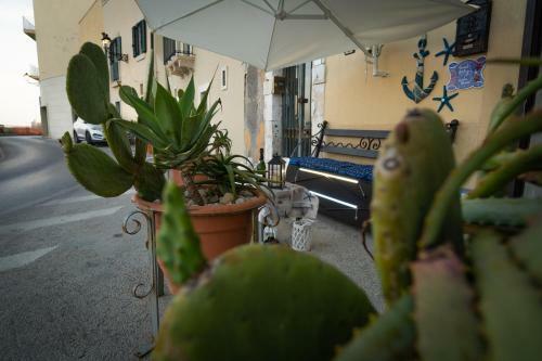 Suite Ortigia Vista Mare