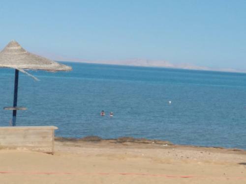 Apartamento ????? ??????