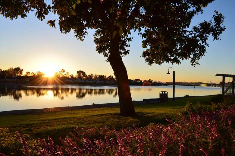 Best Western Plus Bayside Hotel