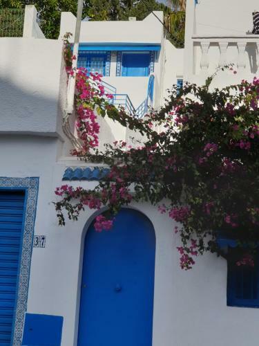 Apartamento Studio Hafsya Hammamet
