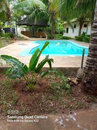 Stay.plus Darad Homes Diani