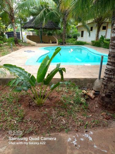 Stay.plus Darad Homes Diani