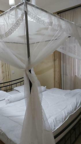 Molo Meru Home