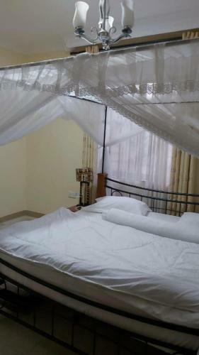Molo Meru Home
