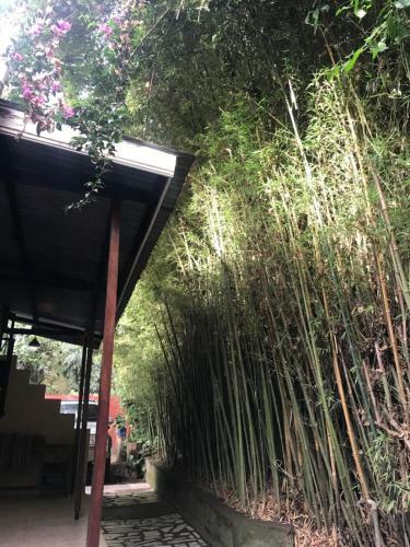 Serenity House Arusha