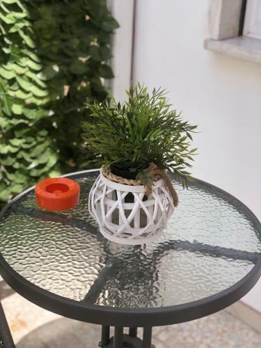 Apartamento Casa Mario