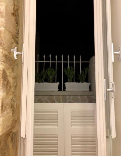 Apartamento Nesh House