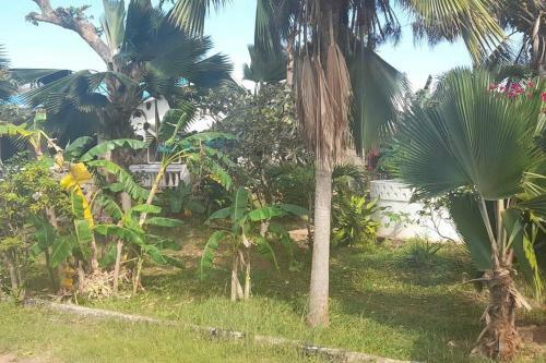 Apartamento Peters Mansion, Bougainvillea Premesis