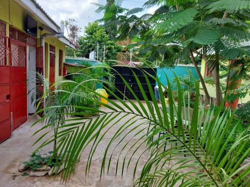 Studio Terrace Apartment - Amarossi Leopard