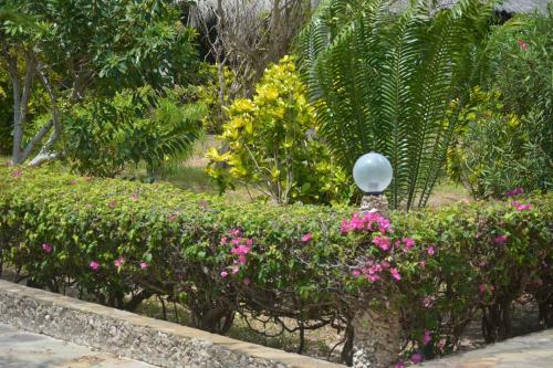 Hotel Twiga Beach & Spa