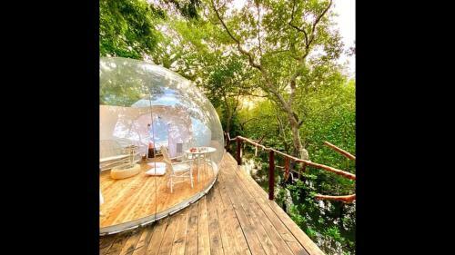 Hostal Room In Bb - Rock And Sea Resort,baobab Suite