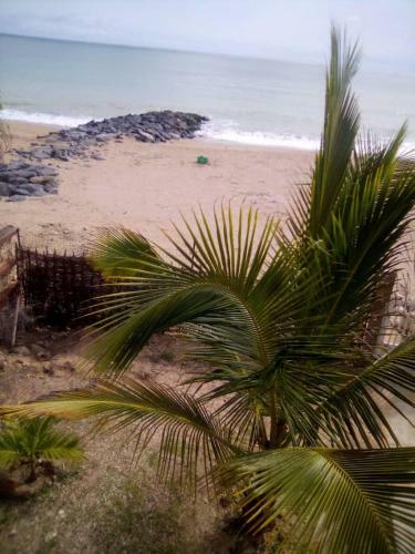 Villa Palm Beach Pied Dans L Eau