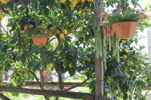 Casa Vacanze Chery