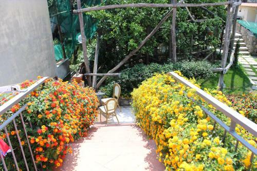 Casa Vacanze Chery