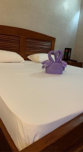 Hostal Senebreizh