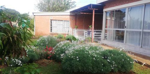 Bed & Breakfast Savanna