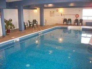 Hotel Comfort Inn & Suites Medicine Hat