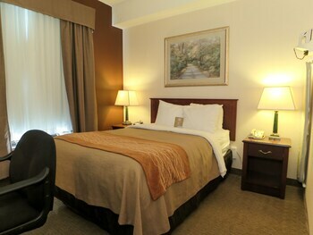Hotel Comfort Inn & Suites Medicine Hat