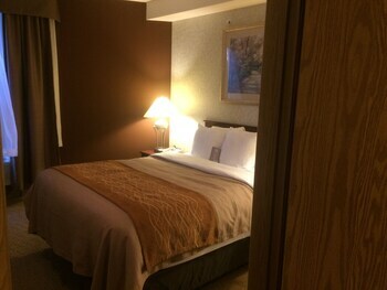 Hotel Comfort Inn & Suites Medicine Hat